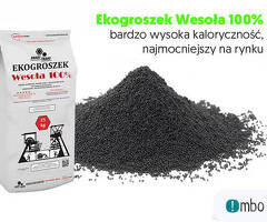 Nagrzewnica promieniowania 3000w